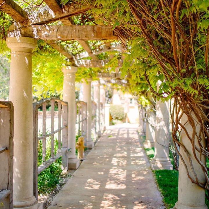 Photo of Others in Paso Robles