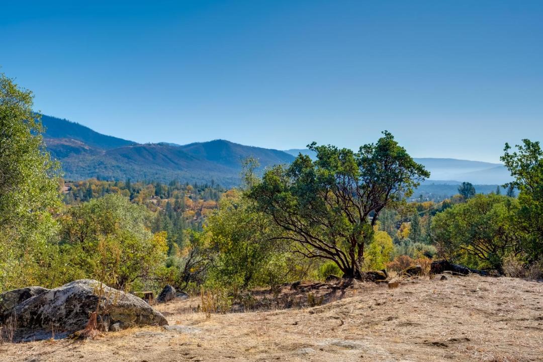Photo of Others in North Fork