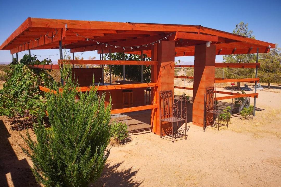 Photo of Others in Joshua Tree