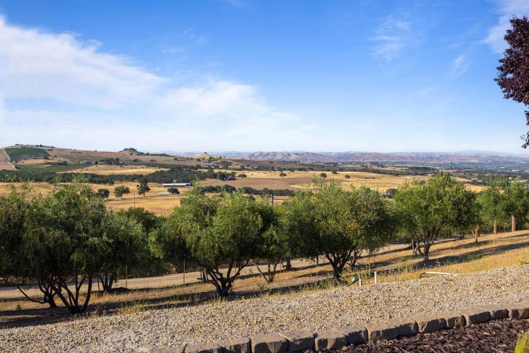 Photo of Others in Paso Robles