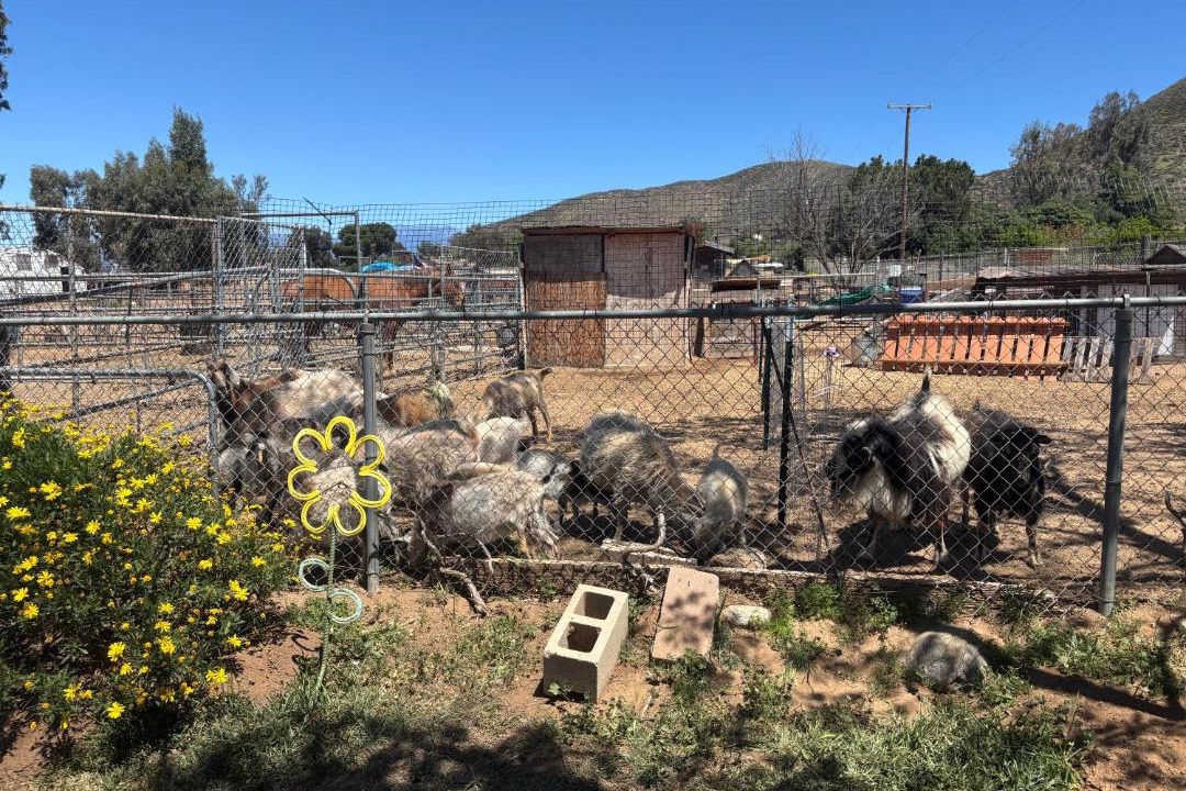 Photo of Others in Hemet