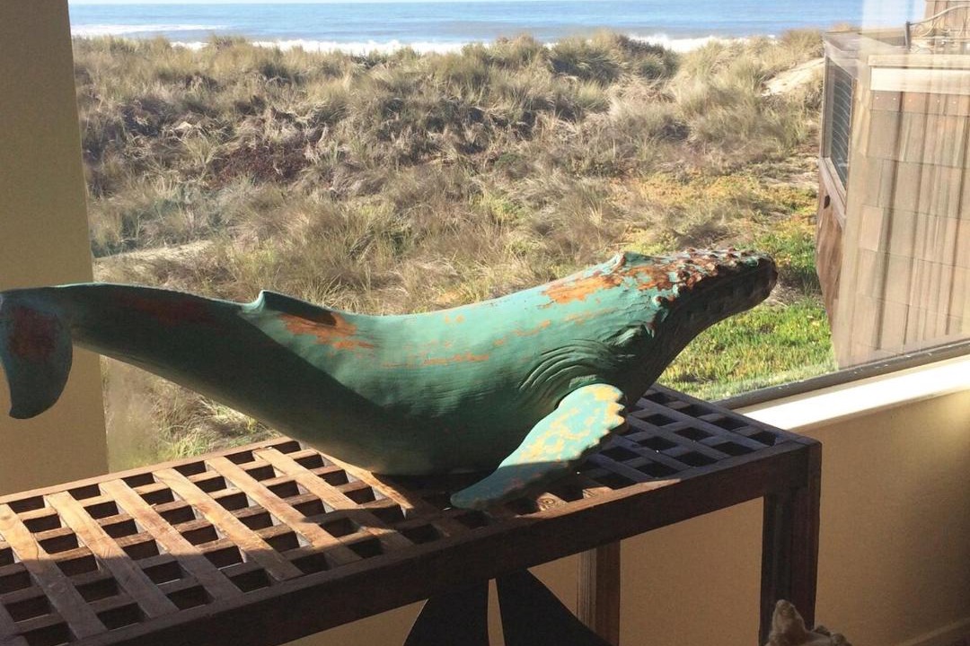 Photo of Others in Pajaro Dunes