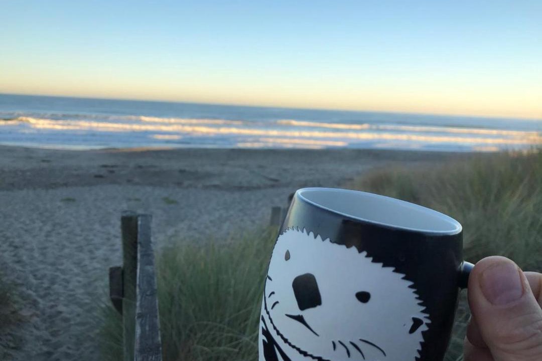 Photo of Others in Pajaro Dunes