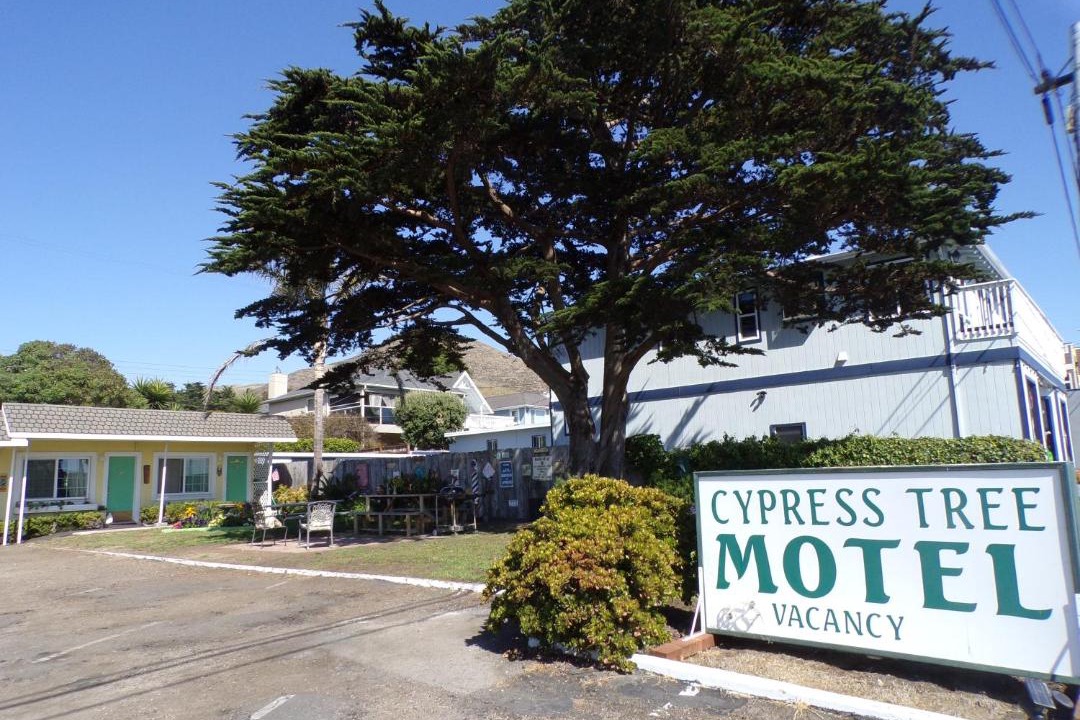 Photo of Others in Cayucos