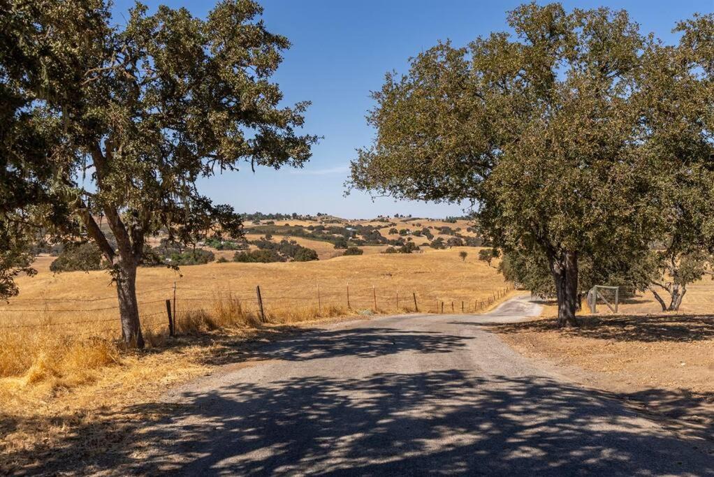 Photo of Others in Paso Robles