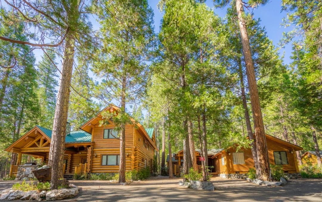 Photo of Others in North Wawona
