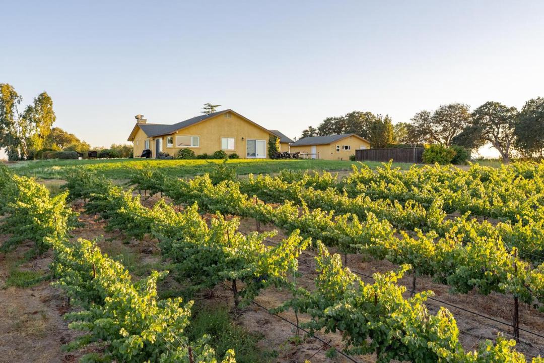 Photo of Others in Paso Robles