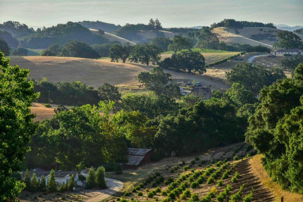 Photo of Others in Paso Robles