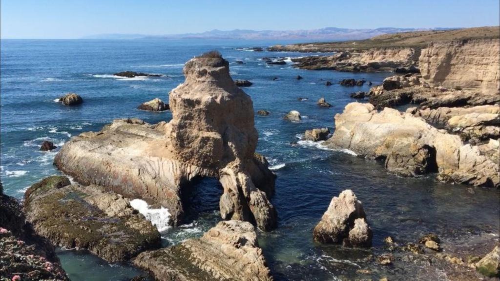 Photo of Others in Morro Bay