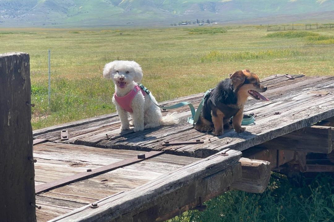 Photo of Others in Paso Robles