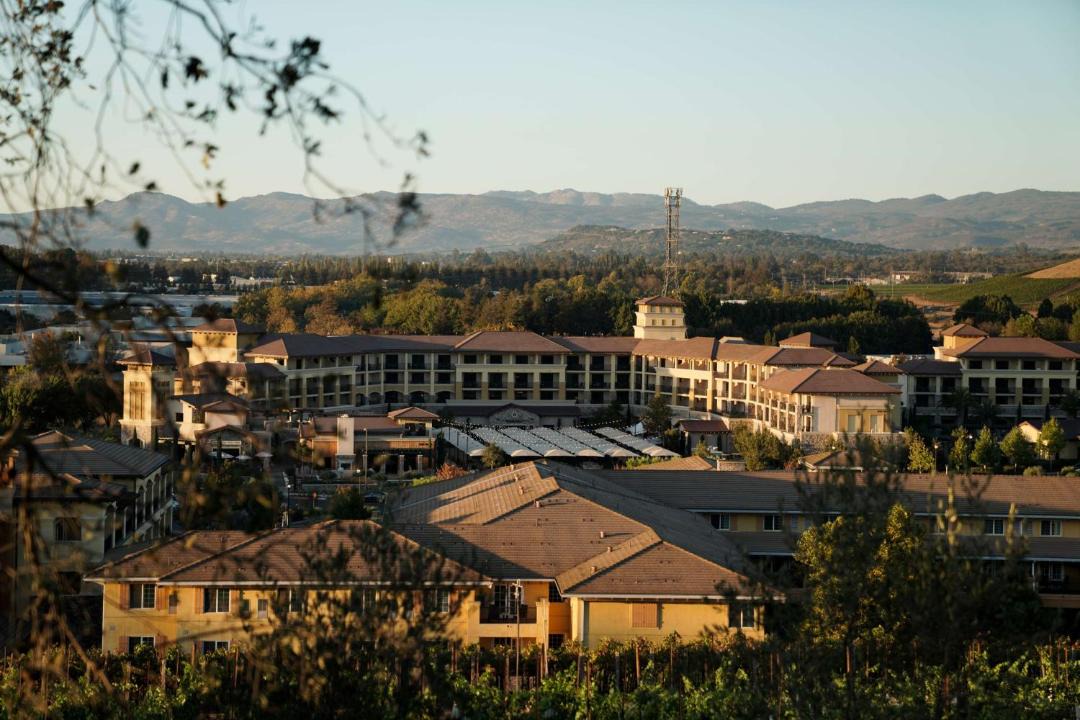 Photo of Others in Napa