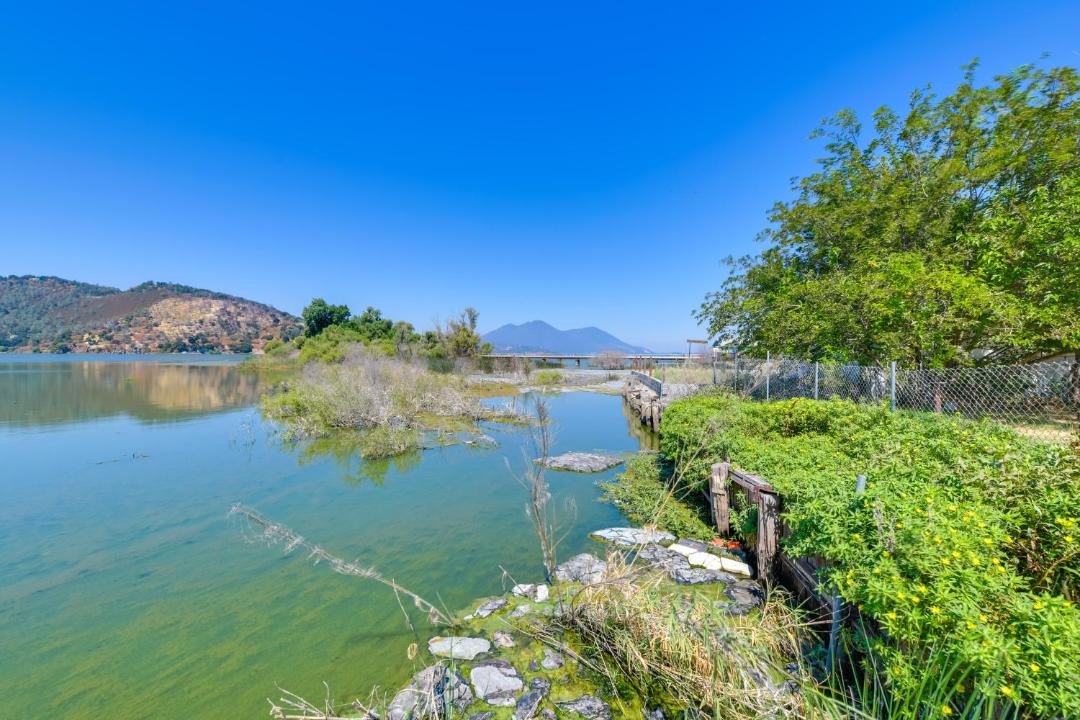 Photo of Others in Clearlake