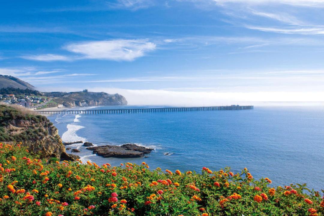 Photo of Others in Avila Beach