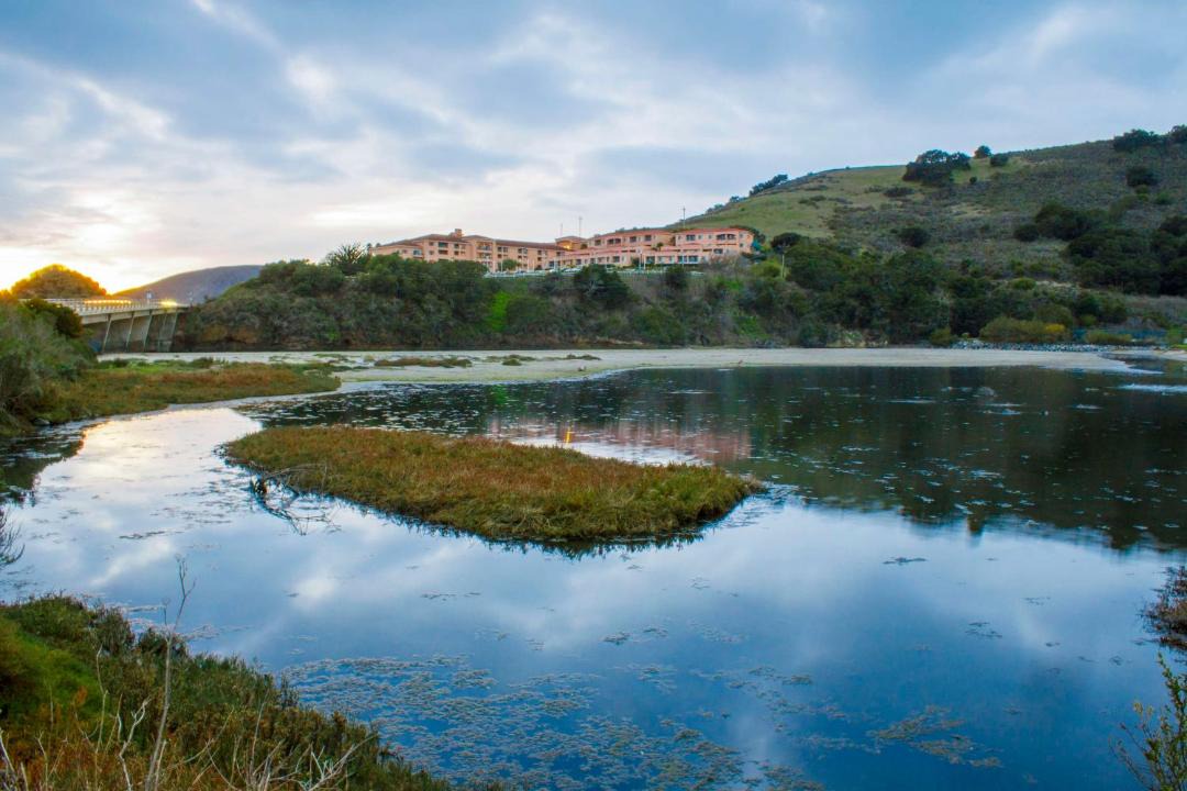 Photo of Others in Avila Beach