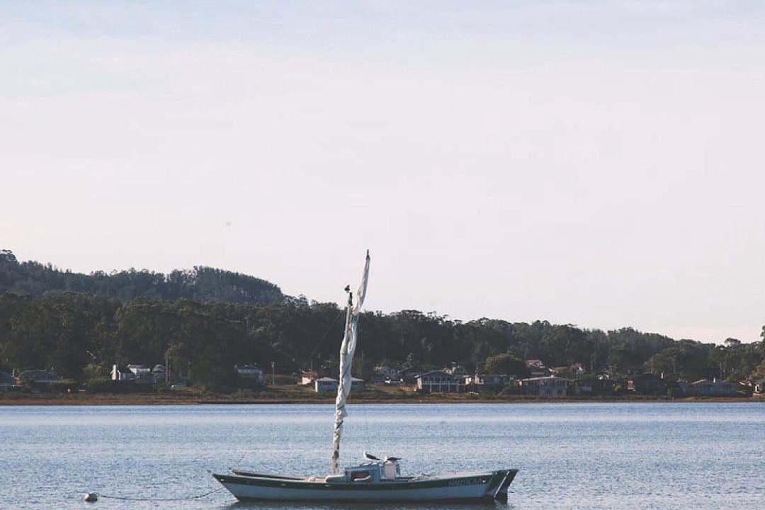 Photo of Others in Baywood Park