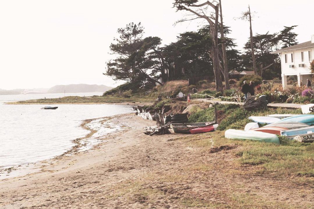 Photo of Others in Baywood Park