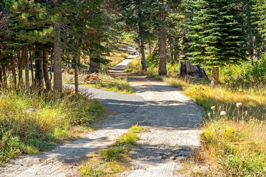 Photo of Others in Bear Valley