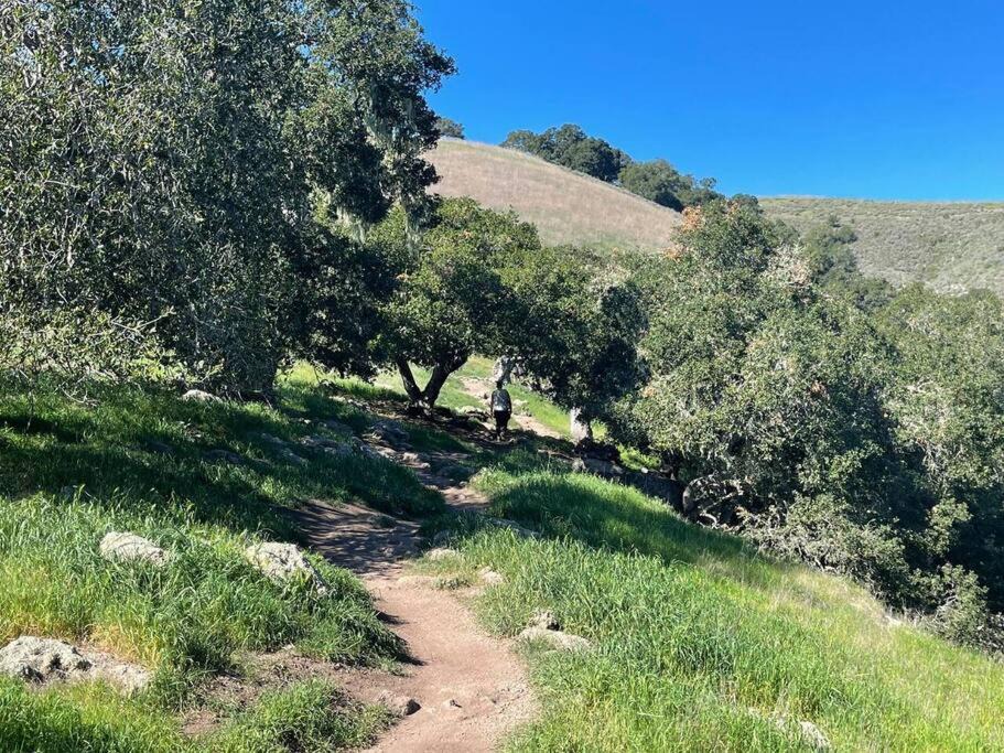 Photo of Others in Arroyo Grande