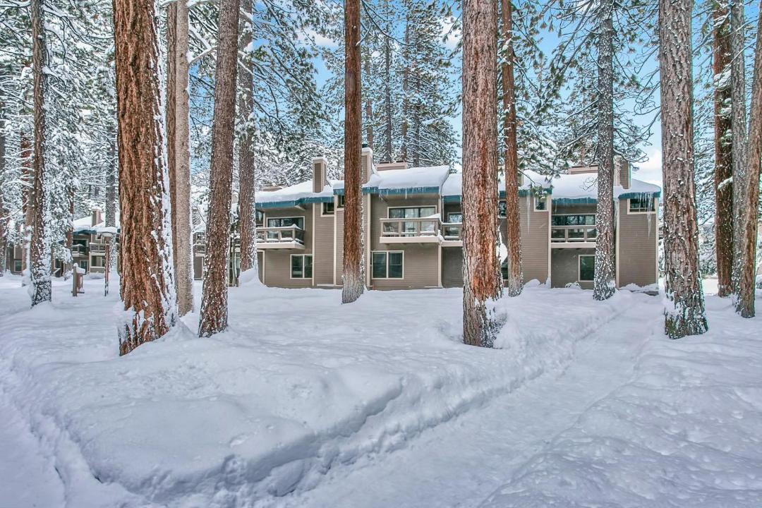 Photo of Others in South Lake Tahoe