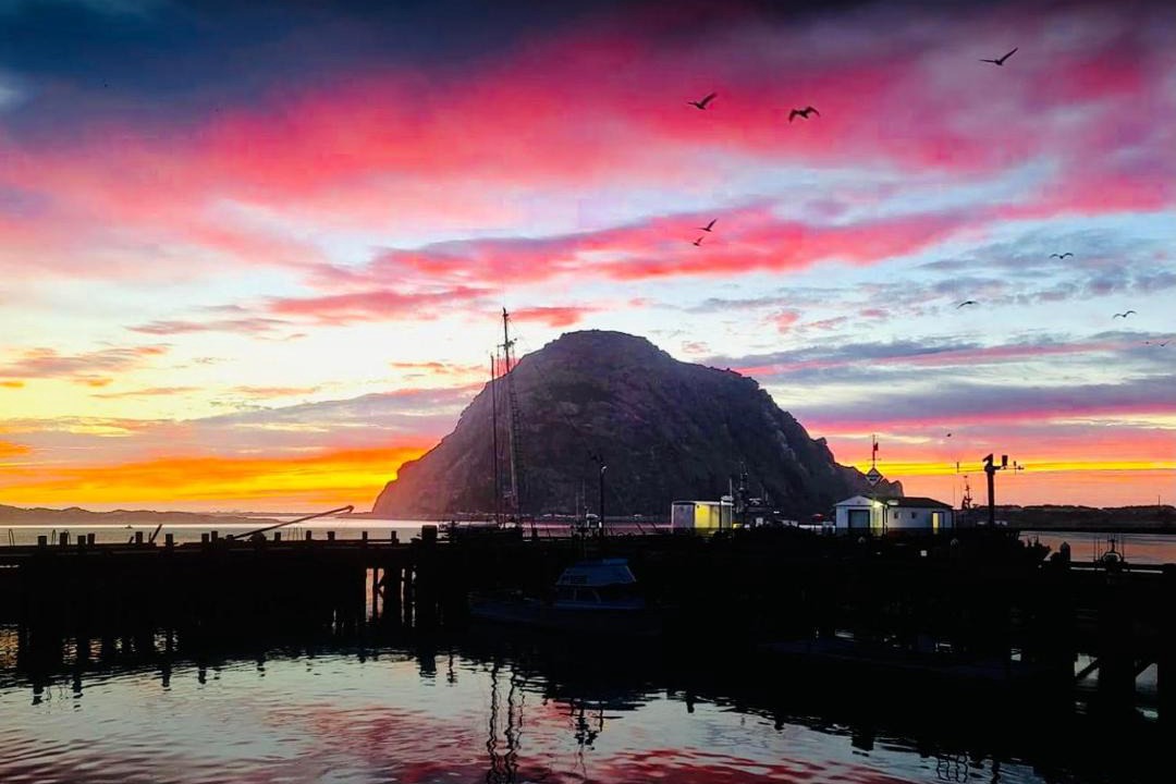 Photo of Others in Morro Bay