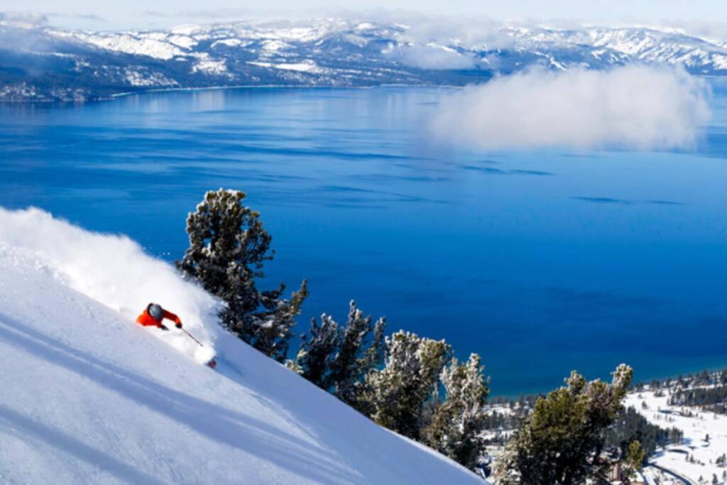 Photo of Others in Al Tahoe