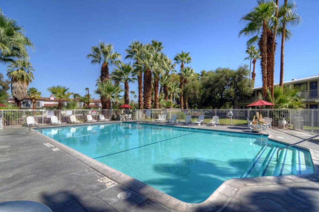 Photo of Others in Palm Springs