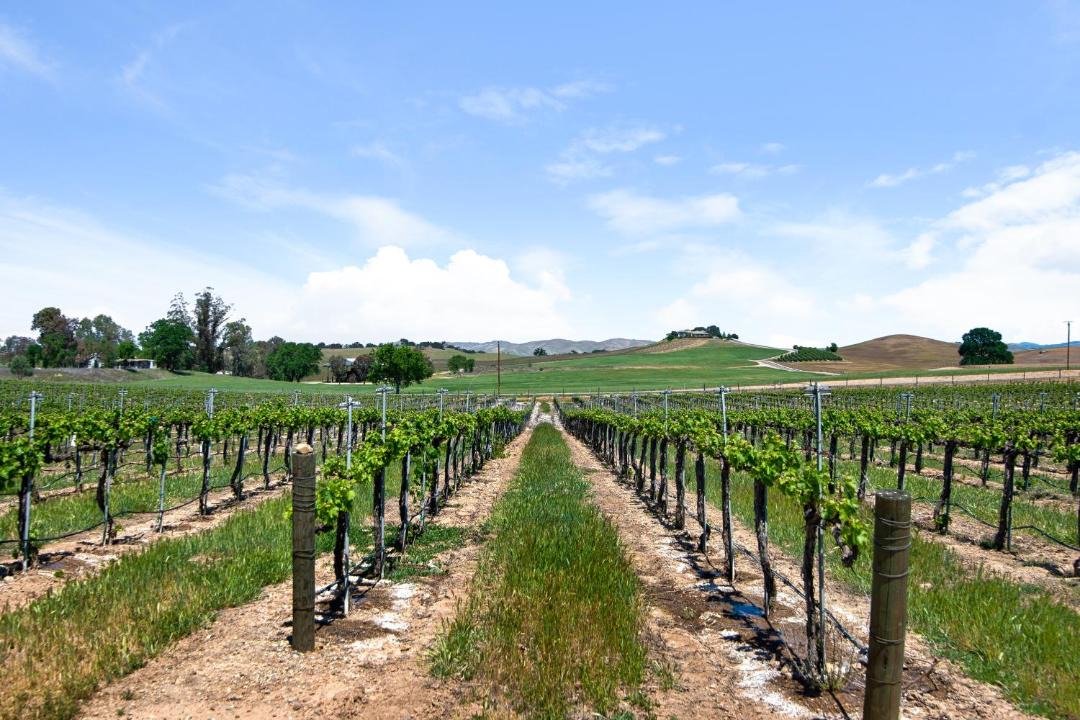 Photo of Others in Paso Robles