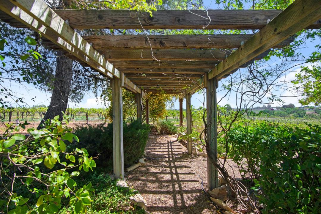 Photo of Others in Paso Robles
