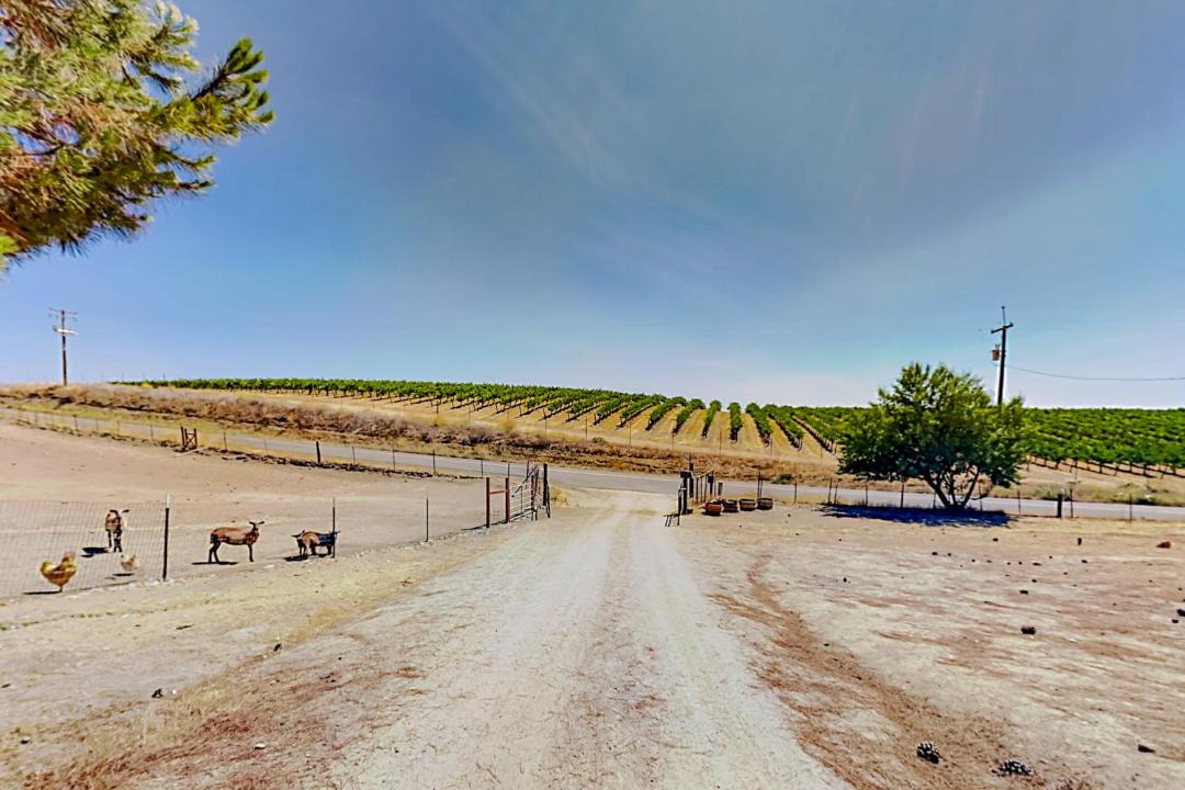 Photo of Others in Paso Robles