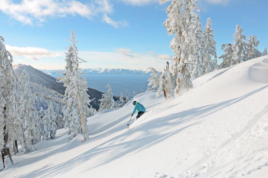 Photo of Others in Incline Village