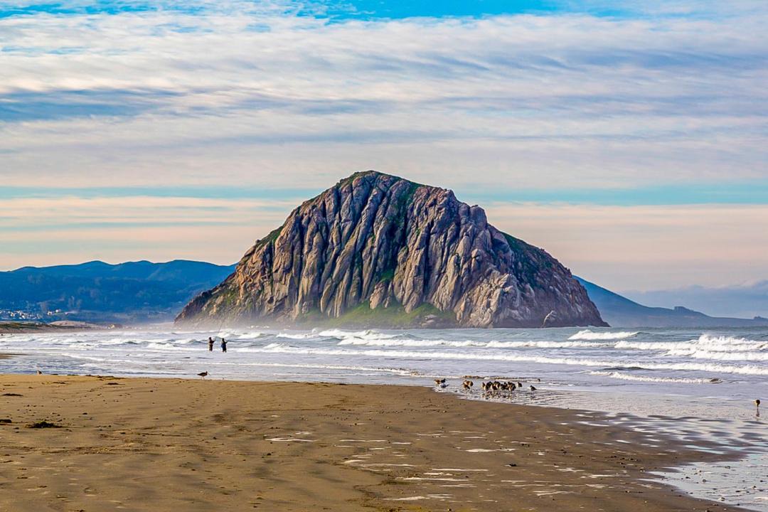 Photo of Others in Morro Bay