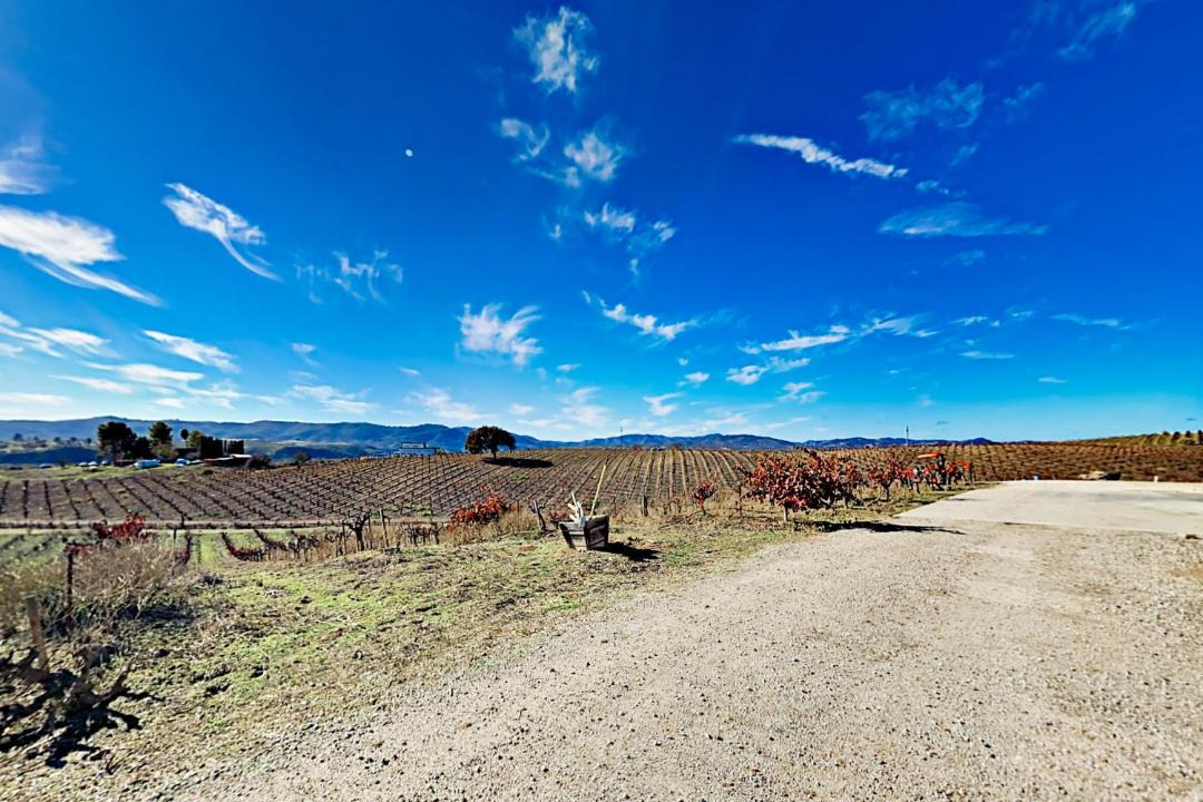 Photo of Others in Paso Robles