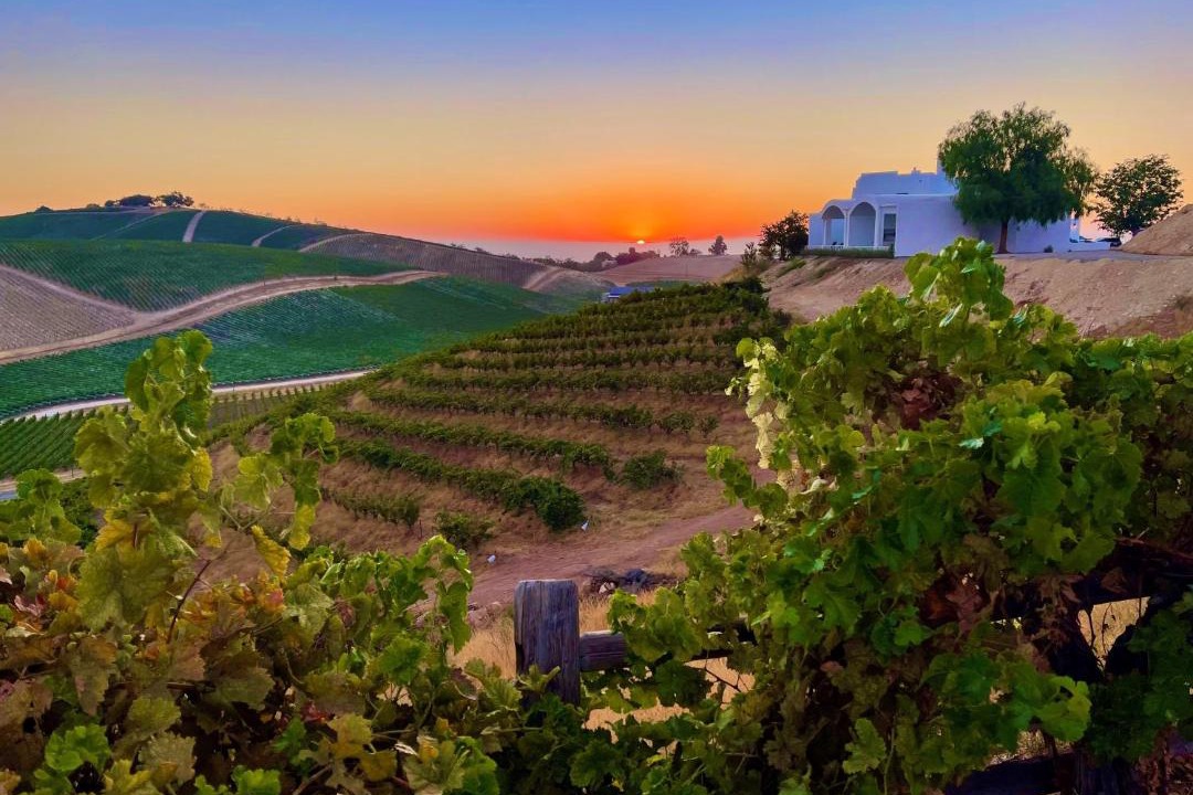 Photo of Others in Paso Robles