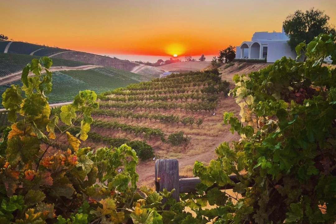 Photo of Others in Paso Robles