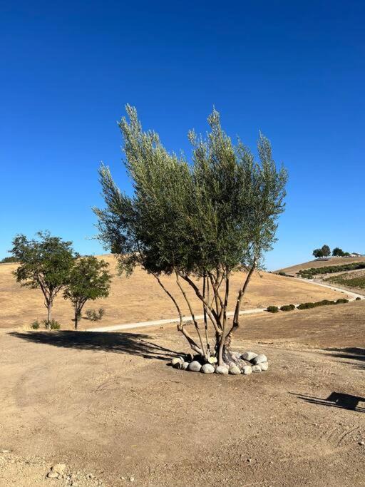 Photo of Buildings in Paso Robles