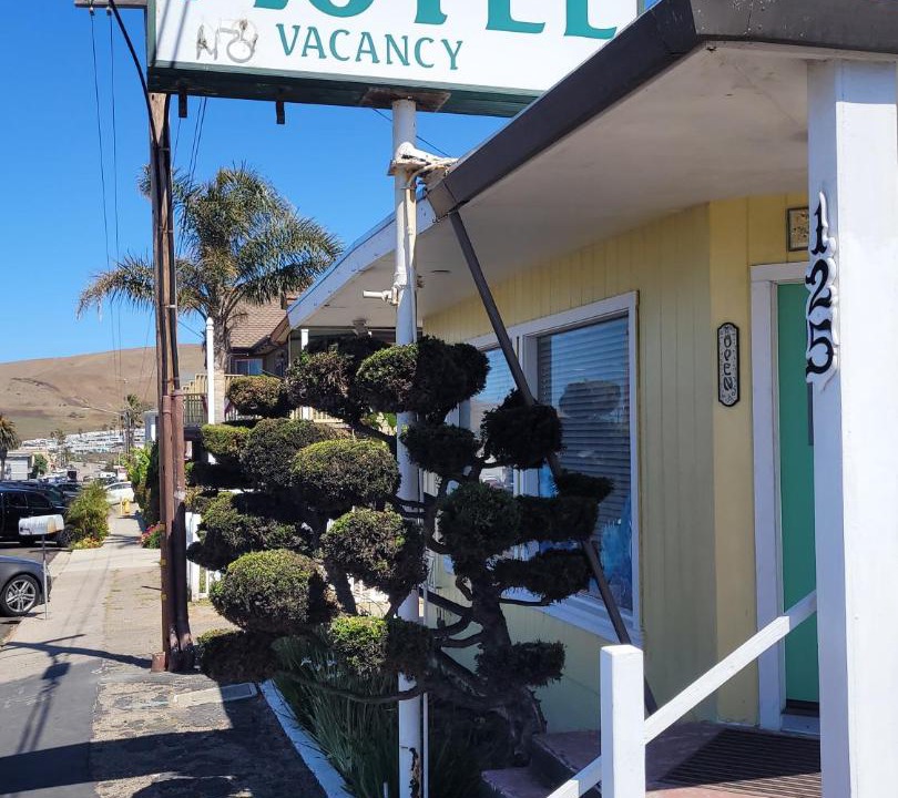 Photo of Others in Cayucos