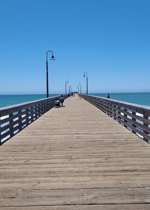 Photo of Others in Cayucos