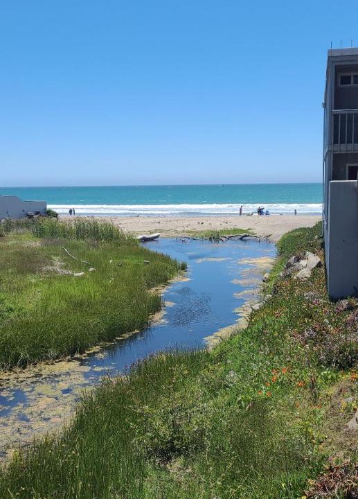 Photo of Outdoor in Cayucos