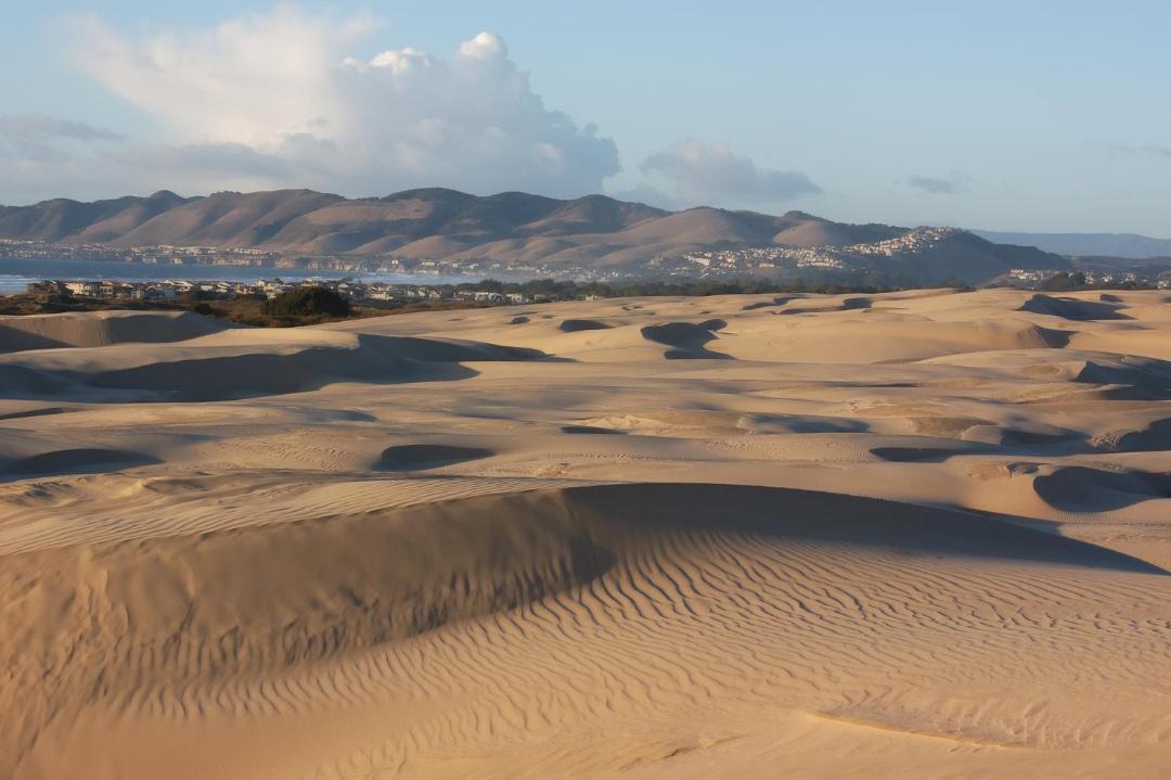 Photo of Outdoor in Oceano