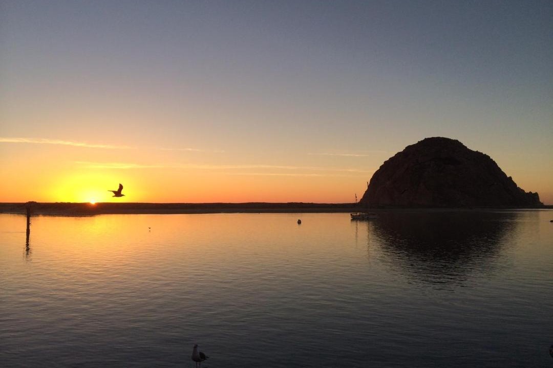 Photo of Others in Morro Bay