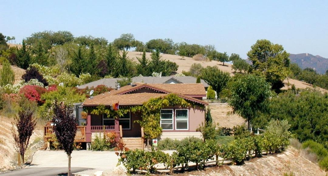Photo of Others in Paso Robles