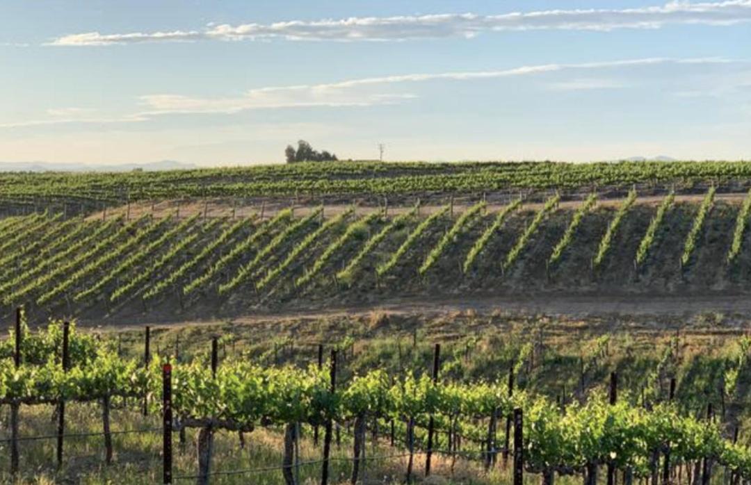 Photo of Others in Temecula