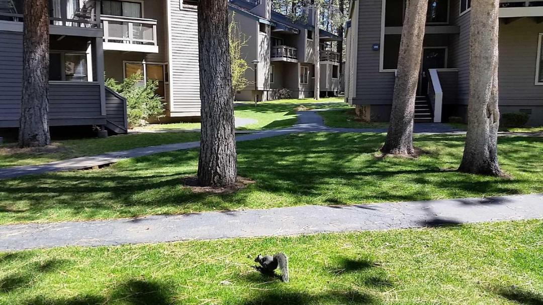 Photo of Others in South Lake Tahoe