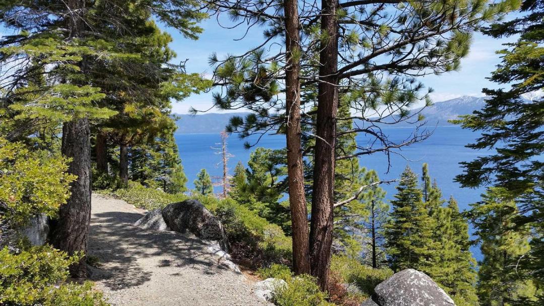 Photo of Others in South Lake Tahoe