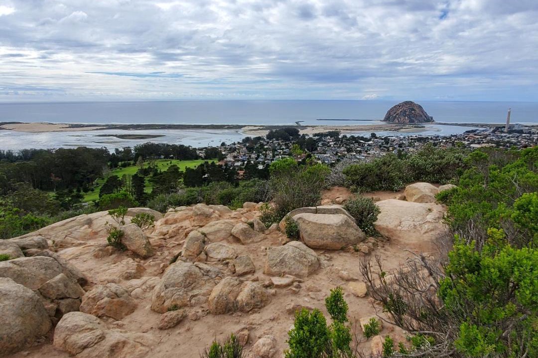 Photo of Others in Morro Bay