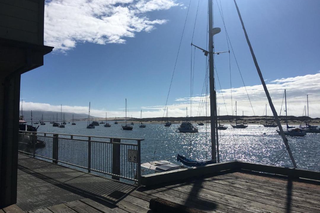 Photo of Others in Morro Bay