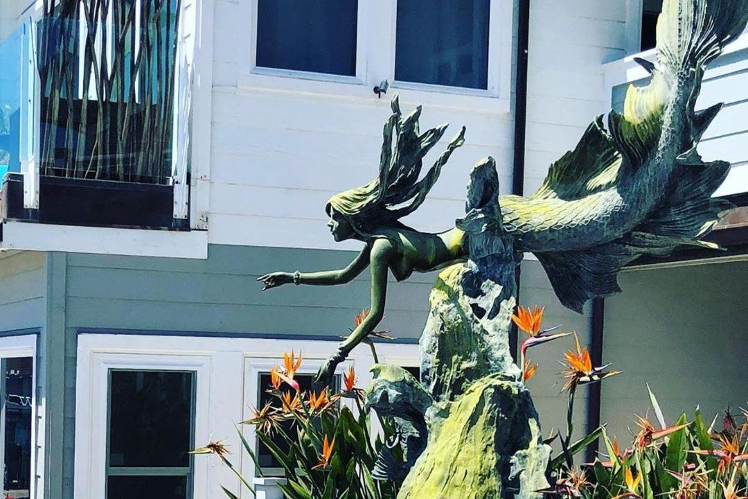 Photo of Others in Cayucos
