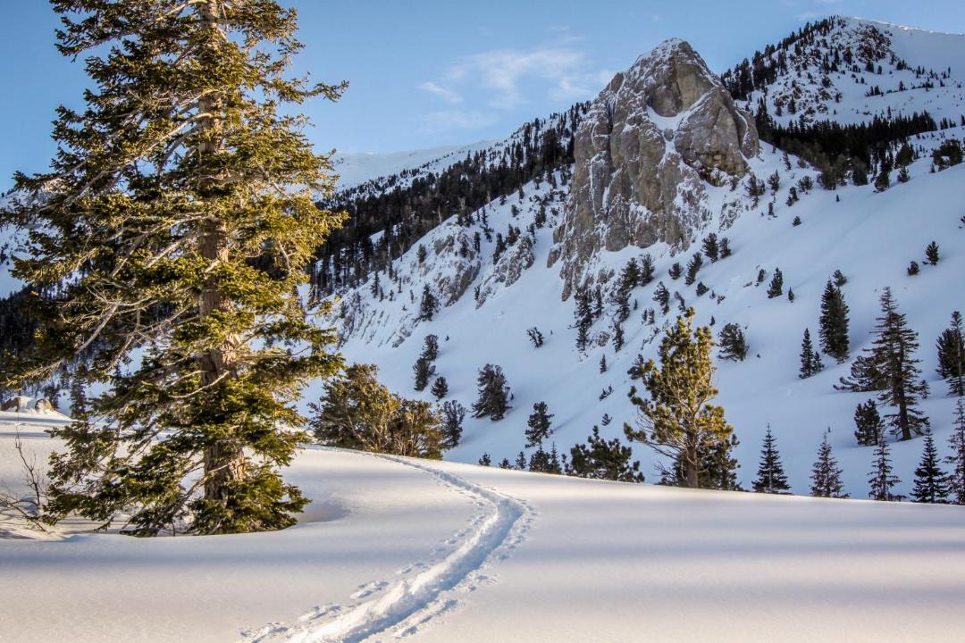 Photo of Others in Mammoth Lakes