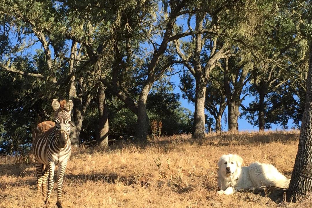 Photo of Others in Templeton
