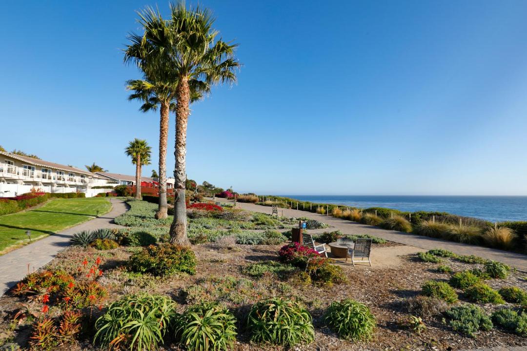 Photo of Others in Pismo Beach